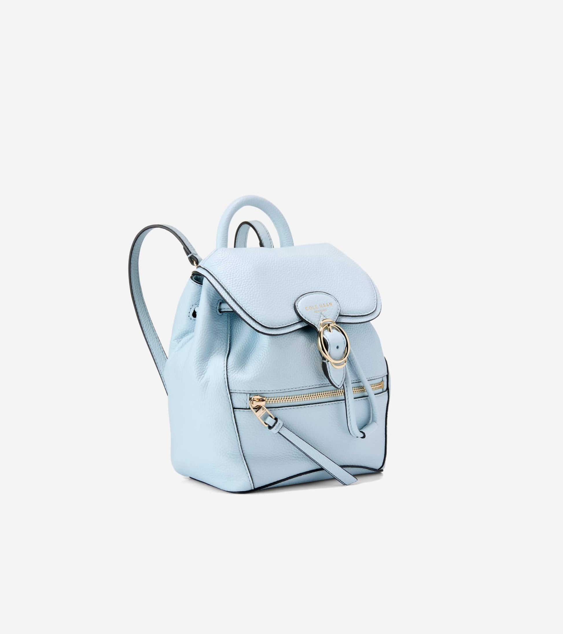 Cole Haan Women's Alexandria Small Flap Backpack