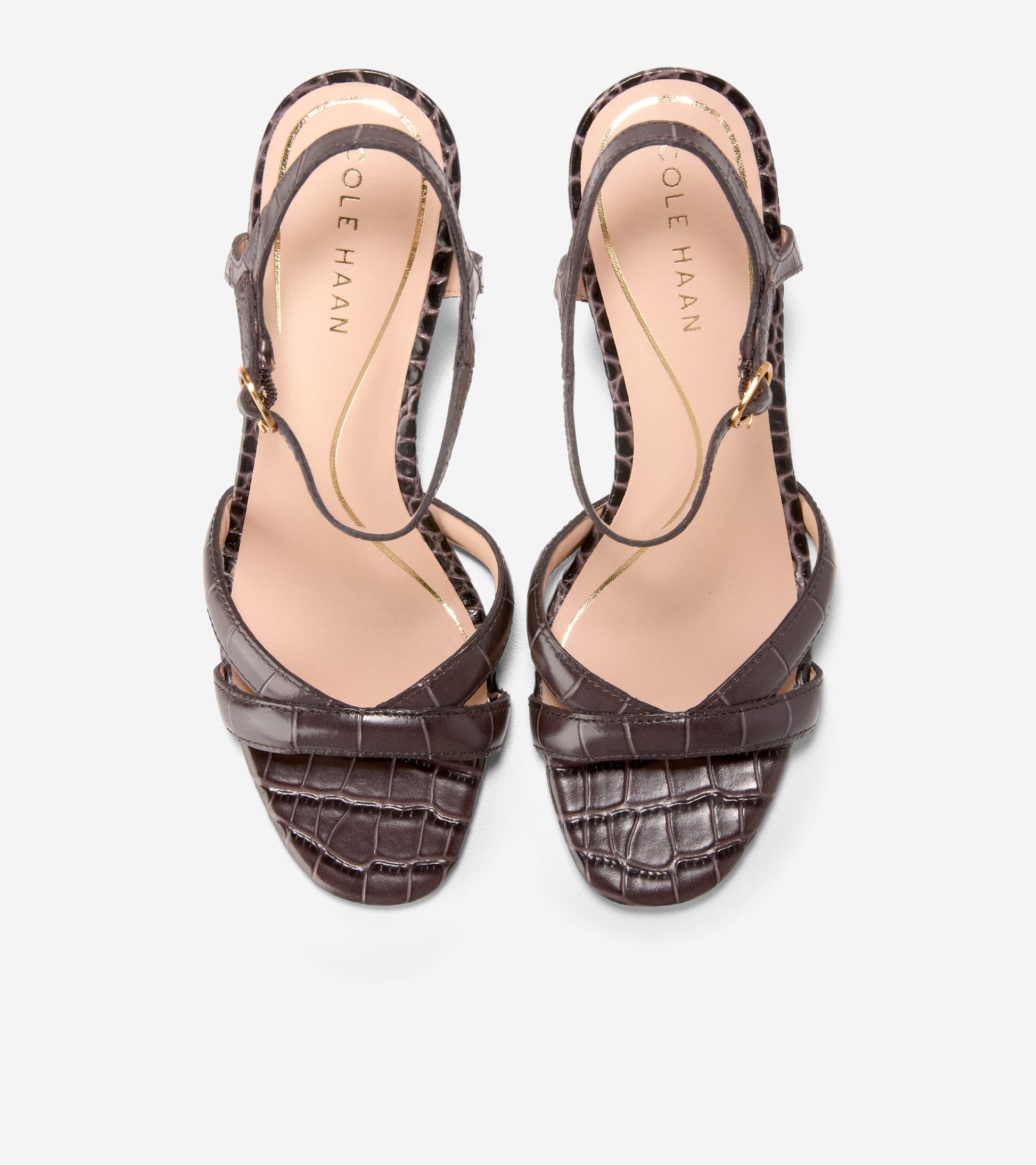 Women's Constantina Sandals-Dark Chocolate Croc Print
