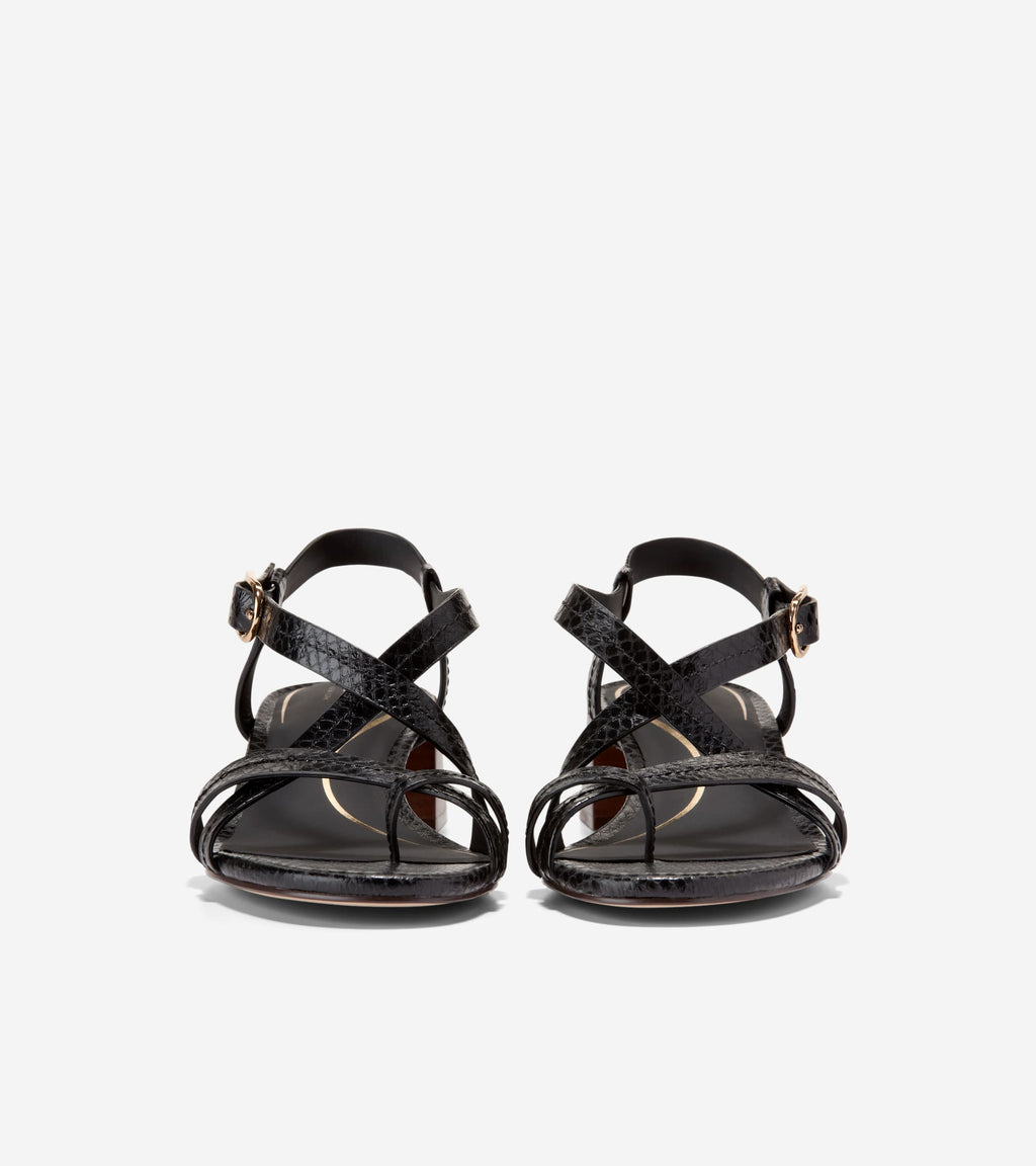 Women's Dillon Block Heel Thong Sandals-Black Glossy Snake Print