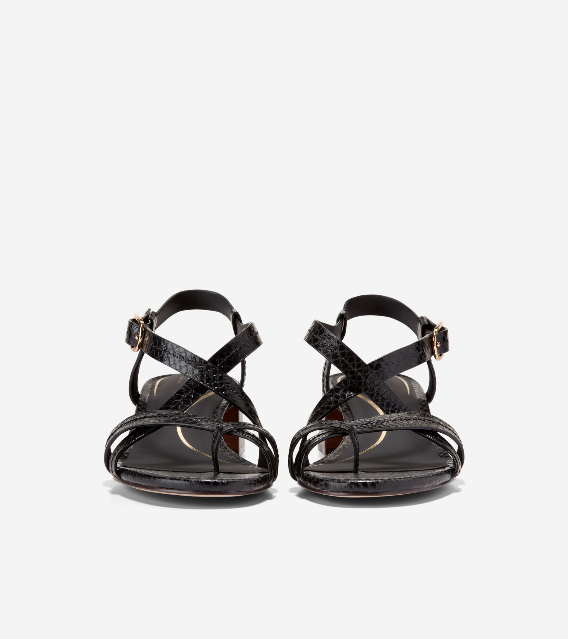 Women's Dillon Block Heel Thong Sandals-Black Glossy Snake Print
