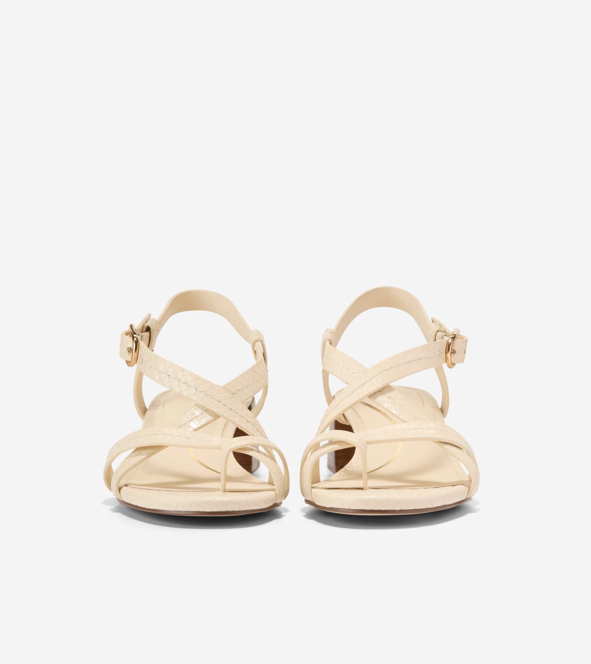 Women's Dillon Block Heel Thong Sandals-Vanilla Snake Print
