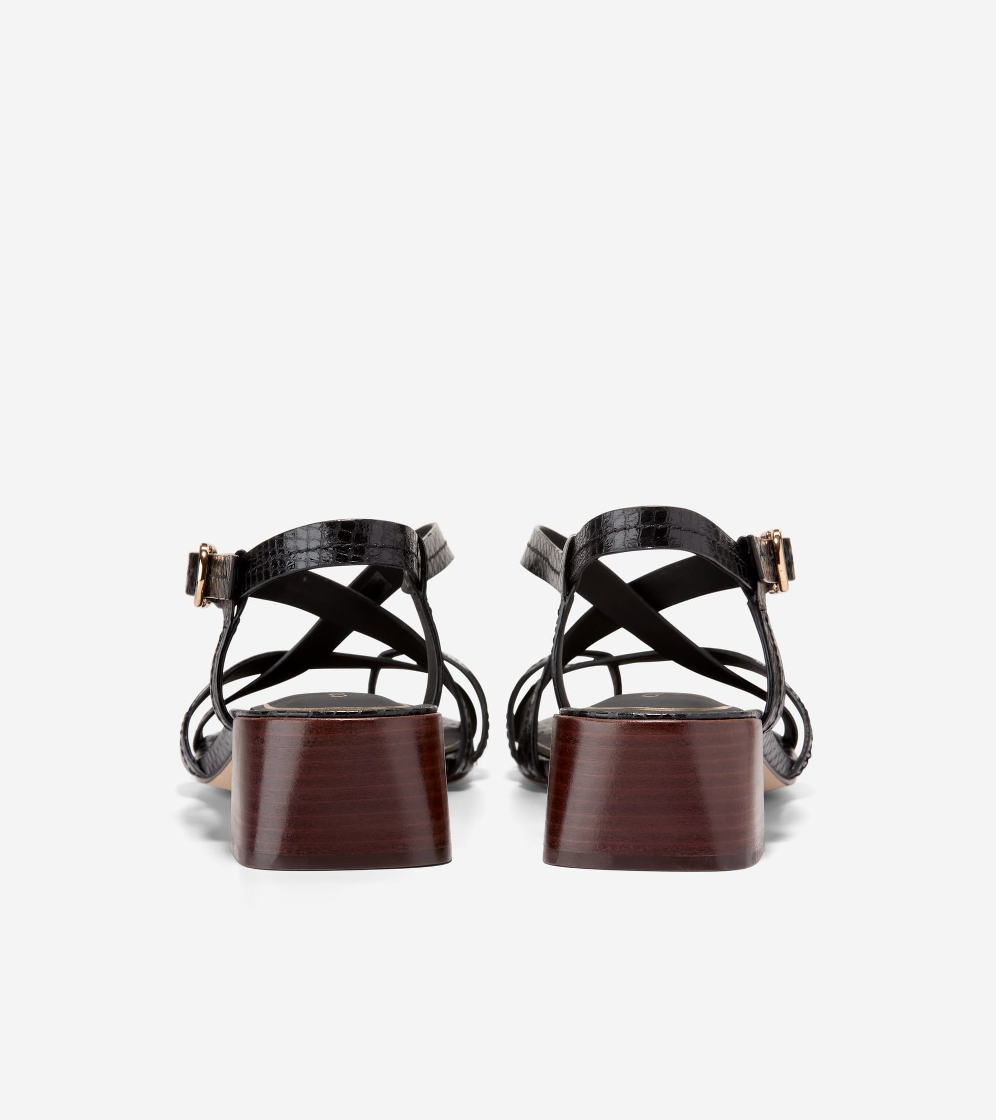Women's Dillon Block Heel Thong Sandals-Black Glossy Snake Print