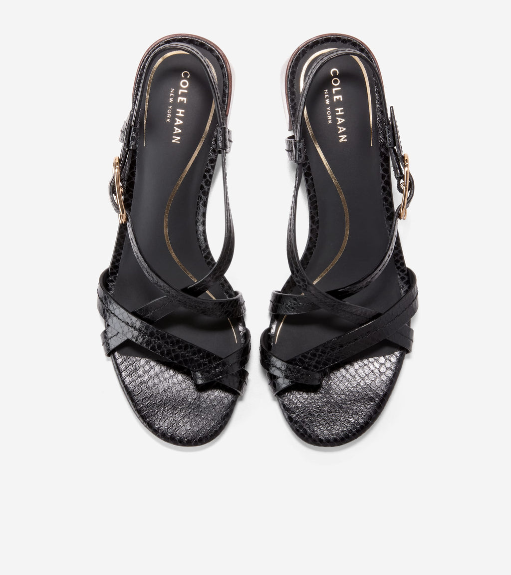 Women's Dillon Block Heel Thong Sandals-Black Glossy Snake Print