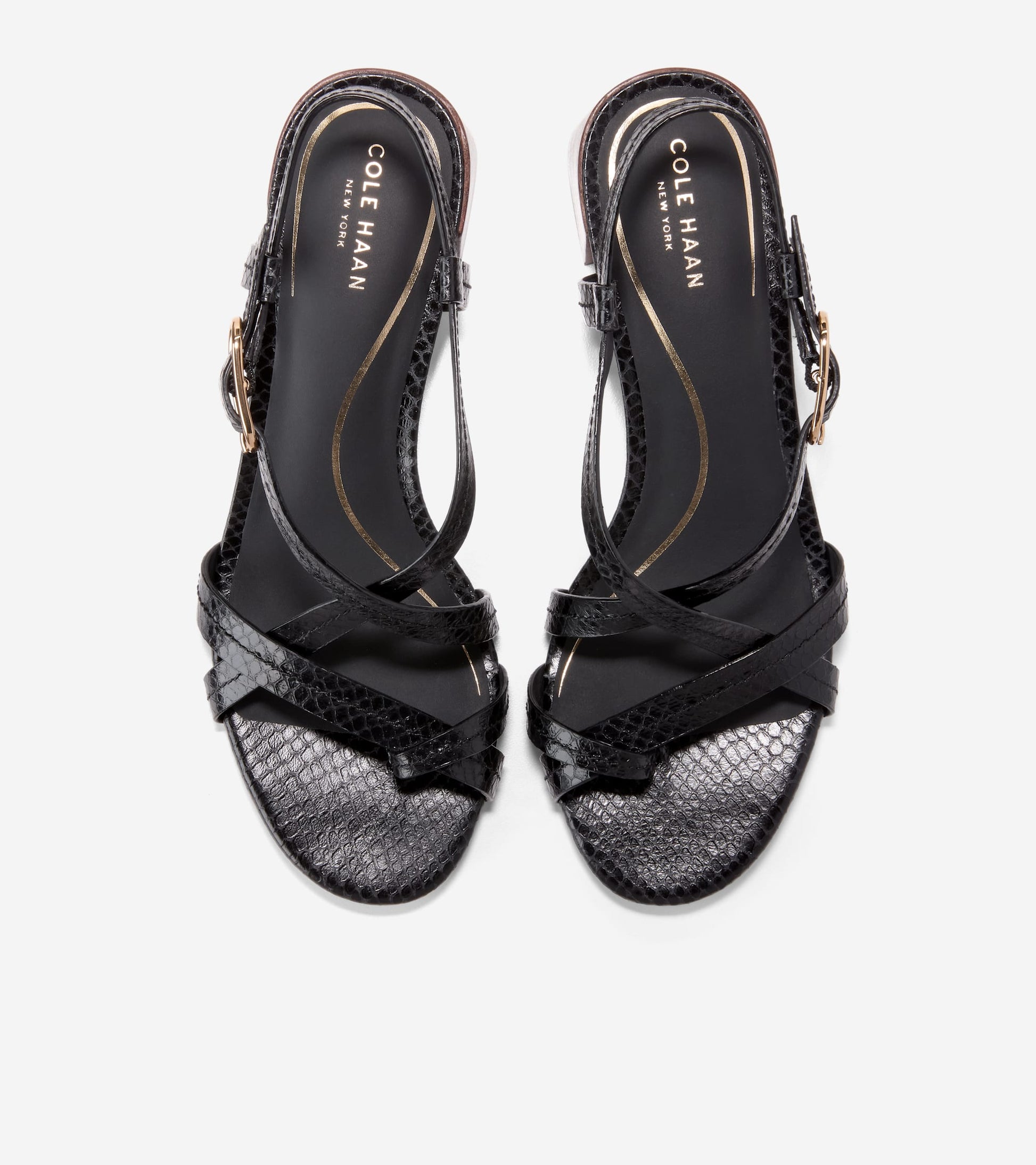 Women's Dillon Block Heel Thong Sandals-Black Glossy Snake Print