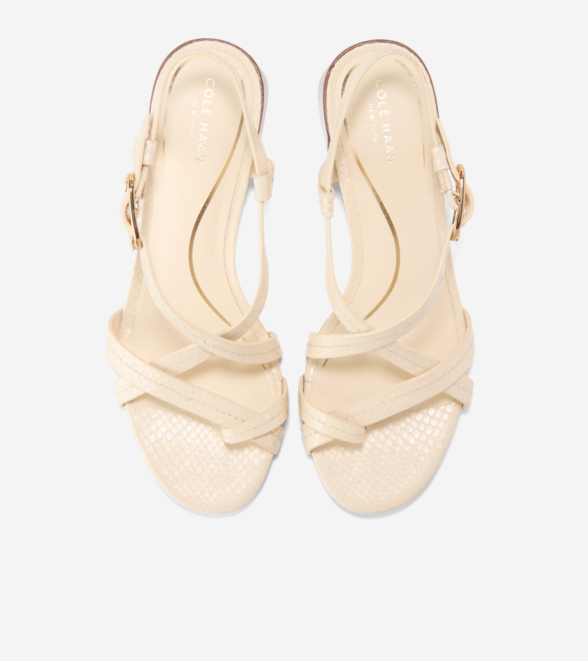 Women's Dillon Block Heel Thong Sandals-Vanilla Snake Print