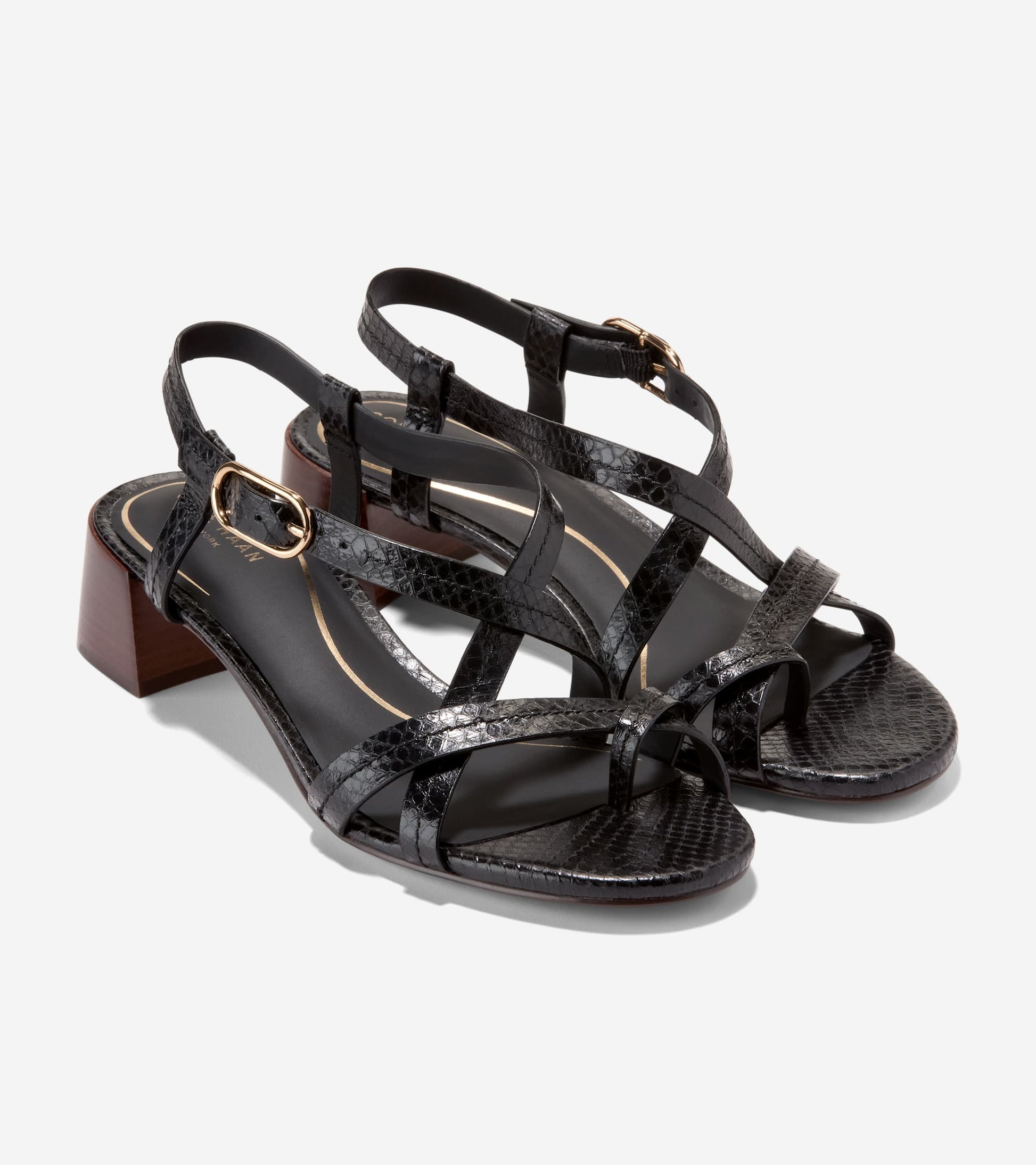 Women's Dillon Block Heel Thong Sandals-Black Glossy Snake Print