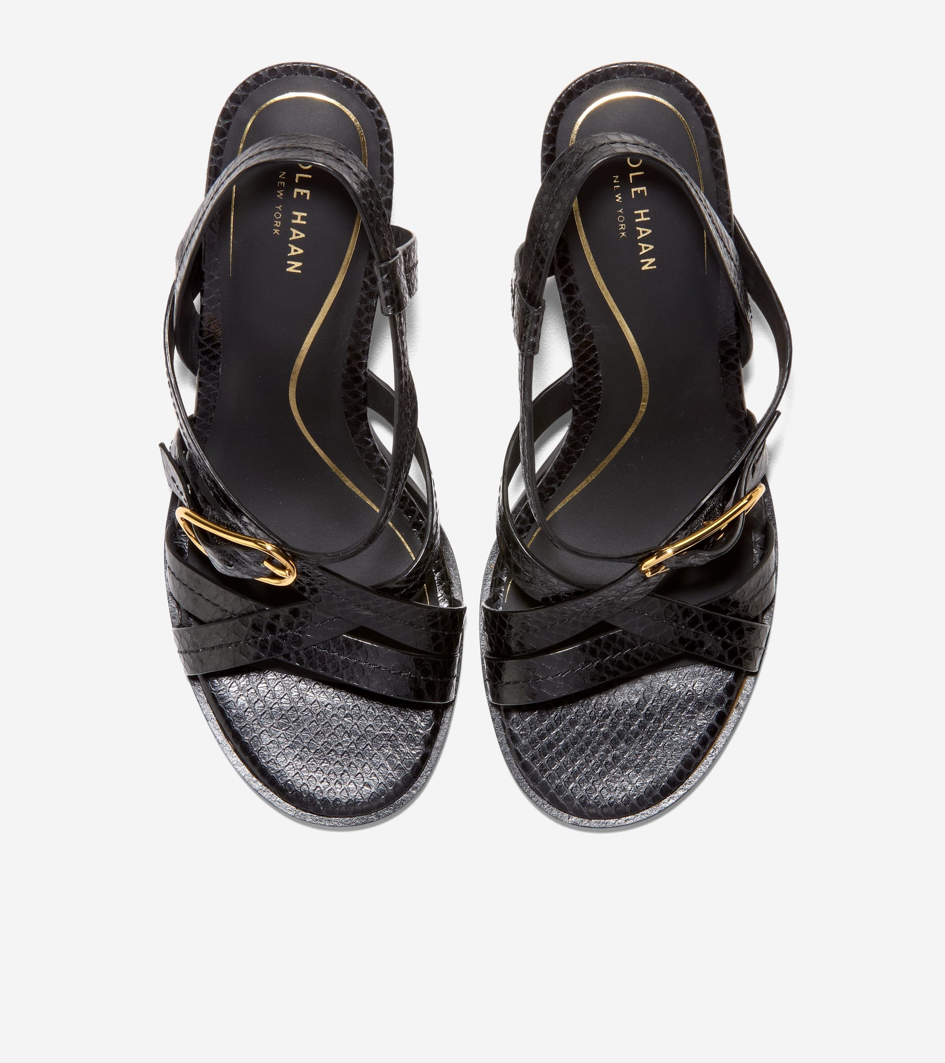 Women's Dillon Heeled Strappy Sandals-Black Glossy Snake Print