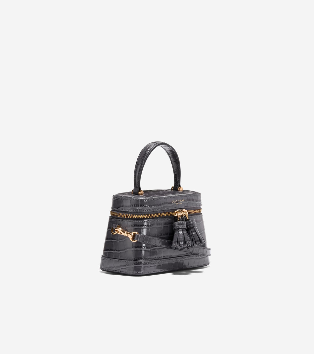 Women's Fleur Vanity Bag-Black Croco Print