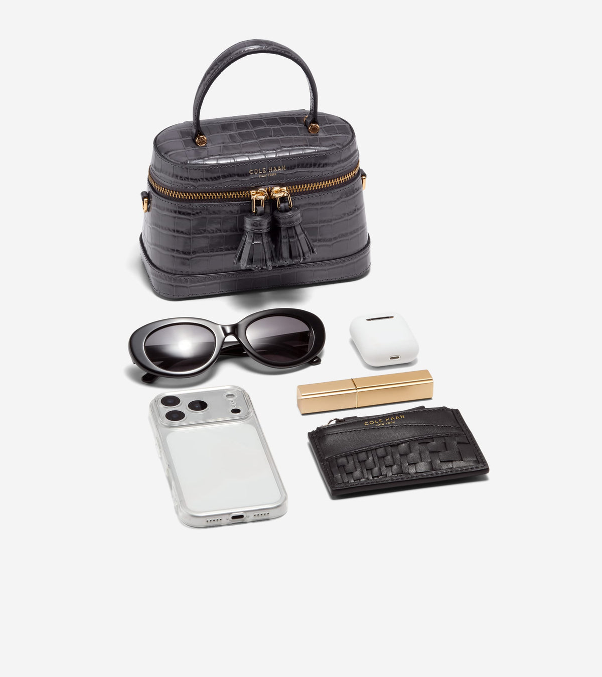 Women's Fleur Vanity Bag-Black Croco Print