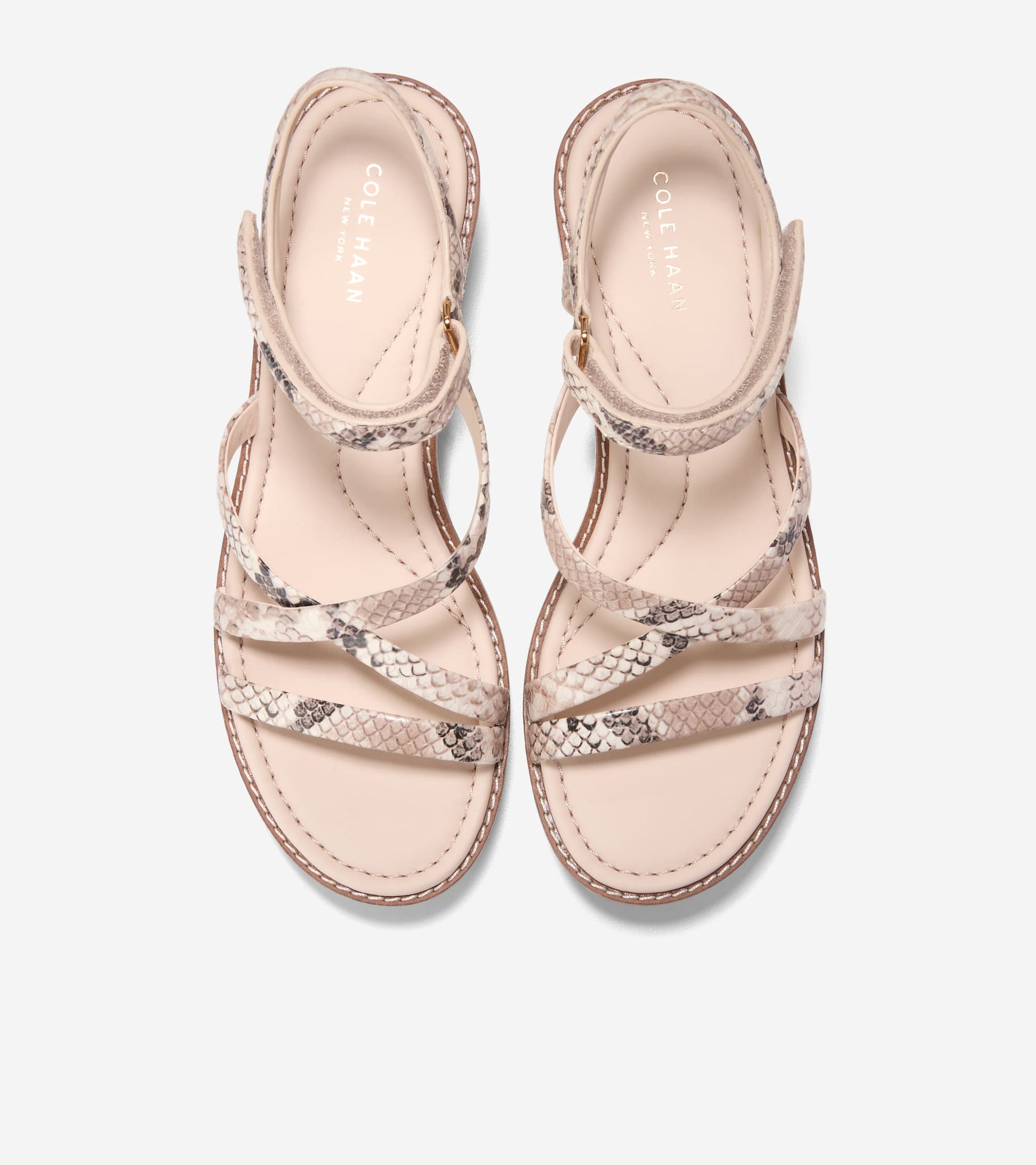 Women's Grand Ambition Azzura Strappy Wedge Sandal-Mojave Snake Printed-Powder
