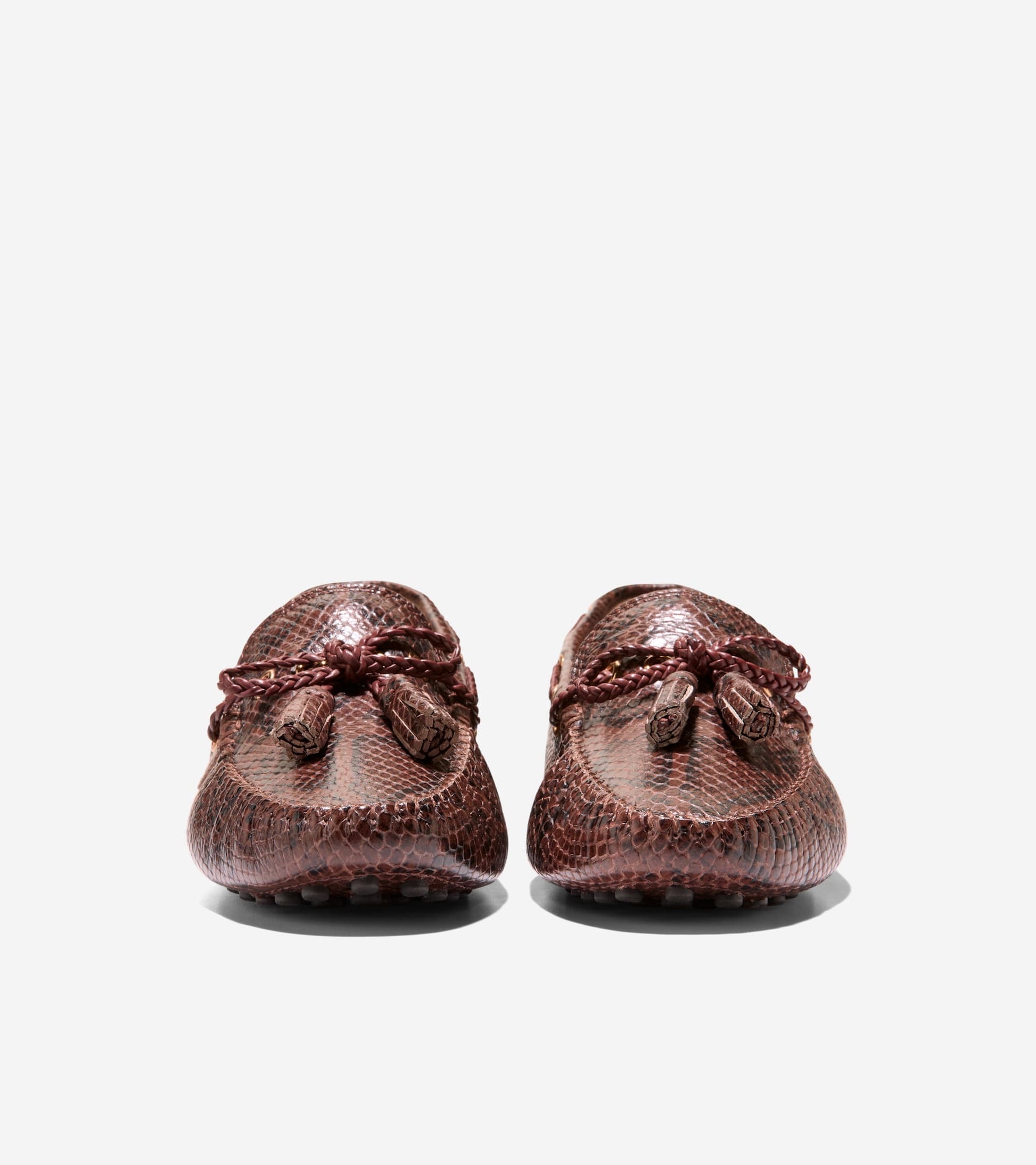 Women's Gissella Driving Shoes-Hickory Glossy Snake Print