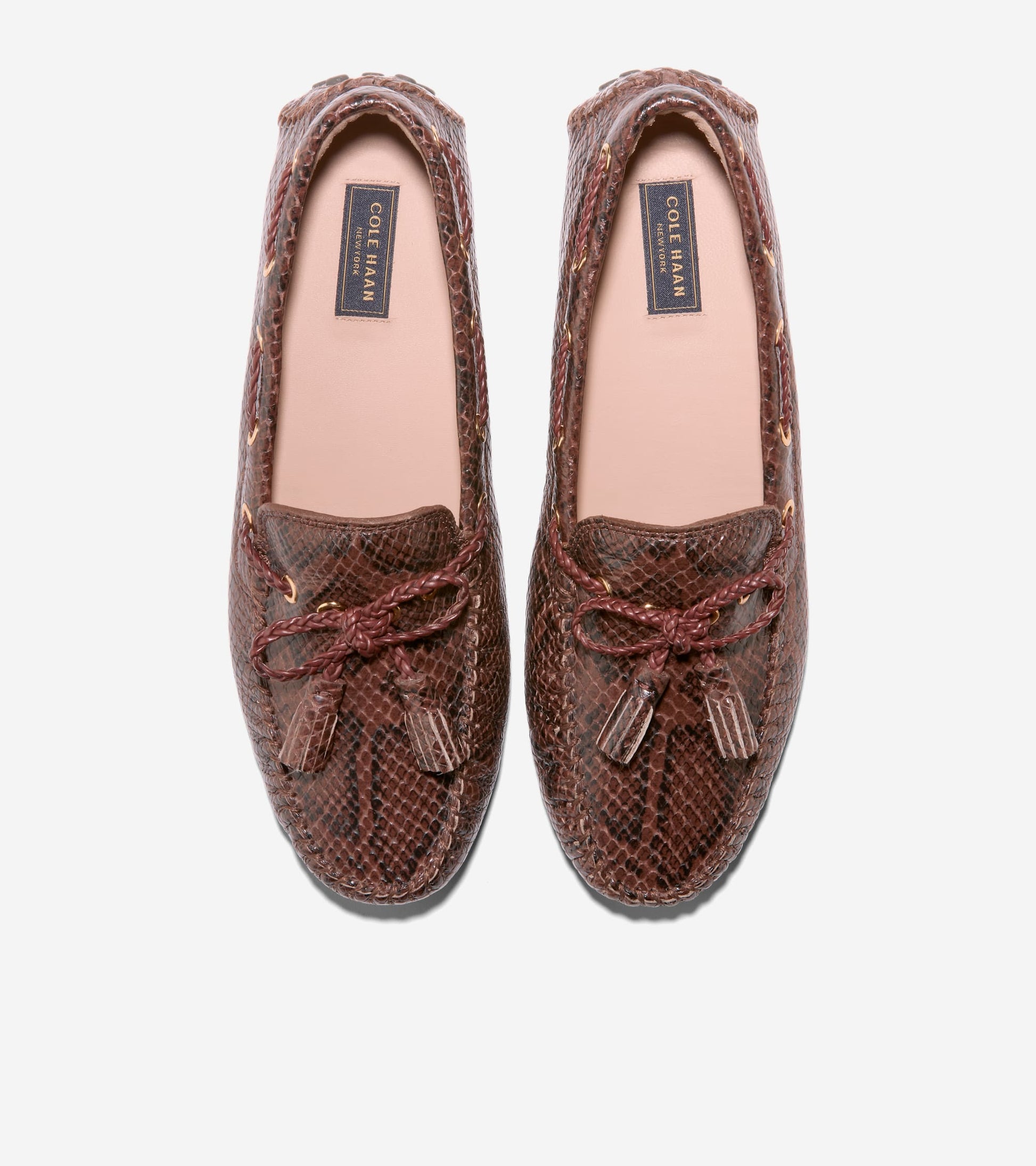 Women's Gissella Driving Shoes-Hickory Glossy Snake Print