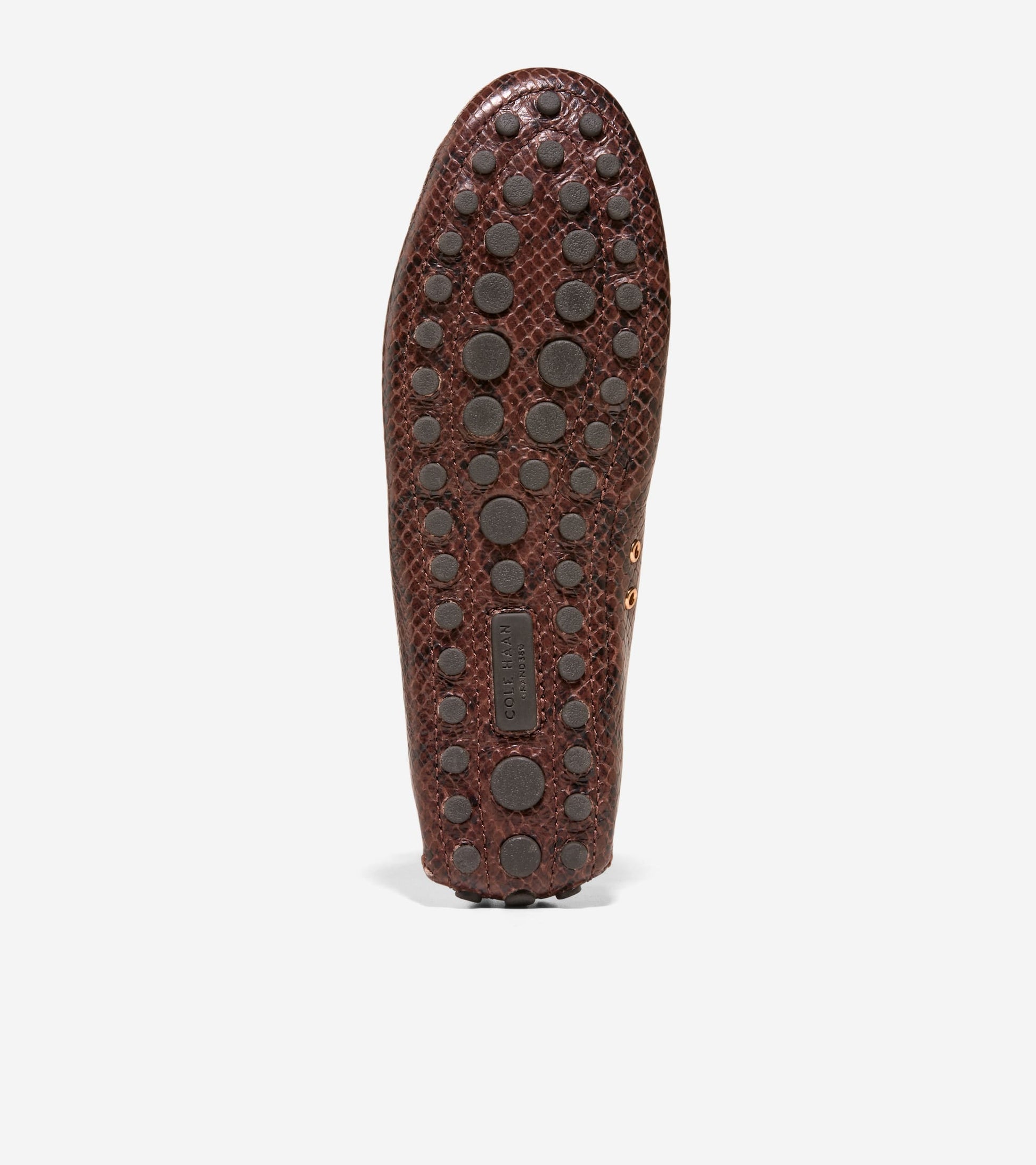 Women's Gissella Driving Shoes-Hickory Glossy Snake Print