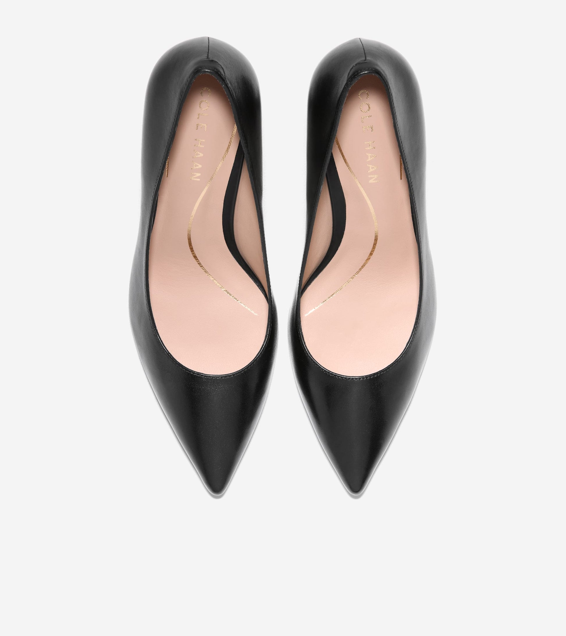 Women's Vivica Pointed Toe Pumps-Black
