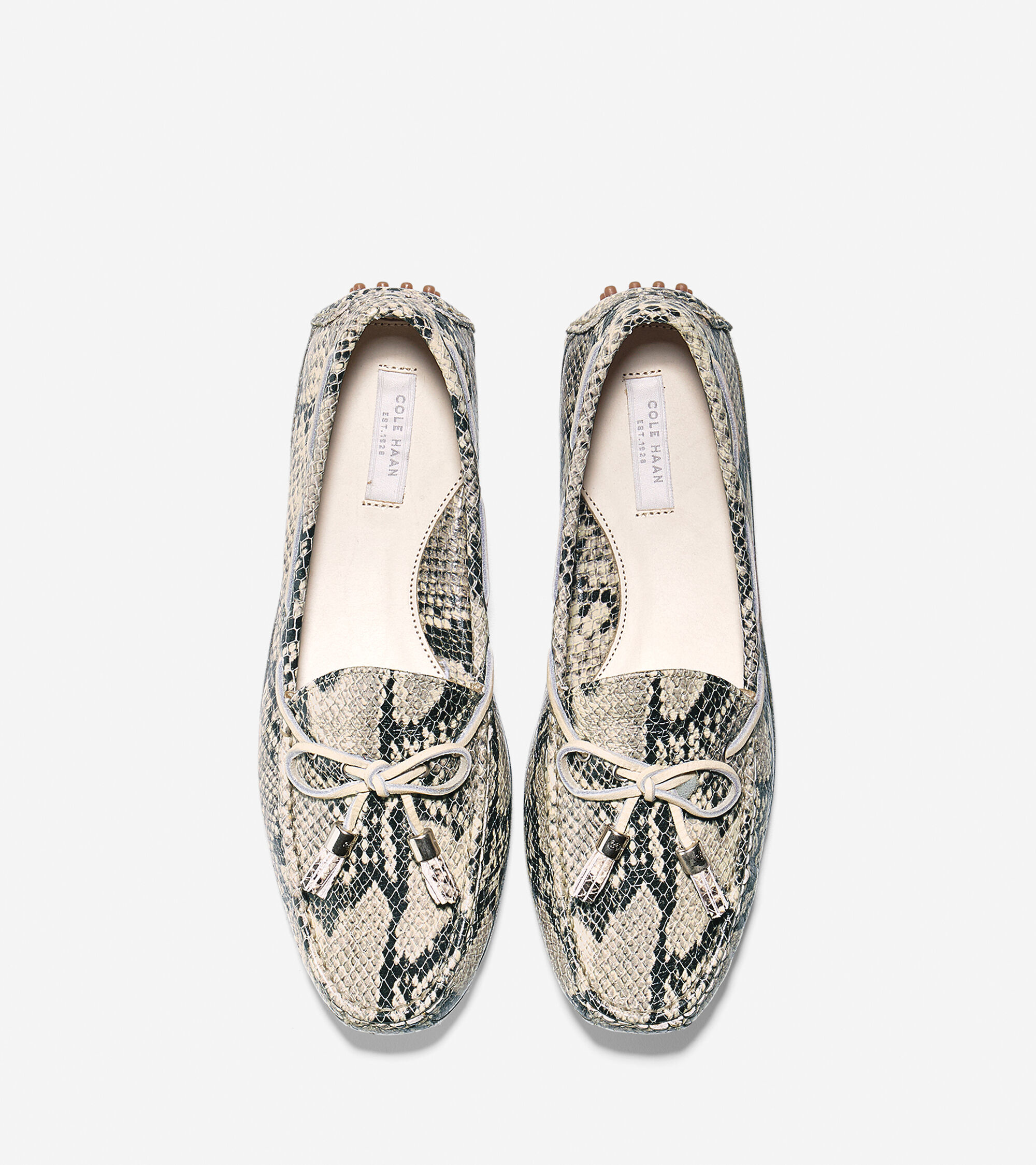 Women's Grant Drivers in Roccia Snake | Cole Haan
