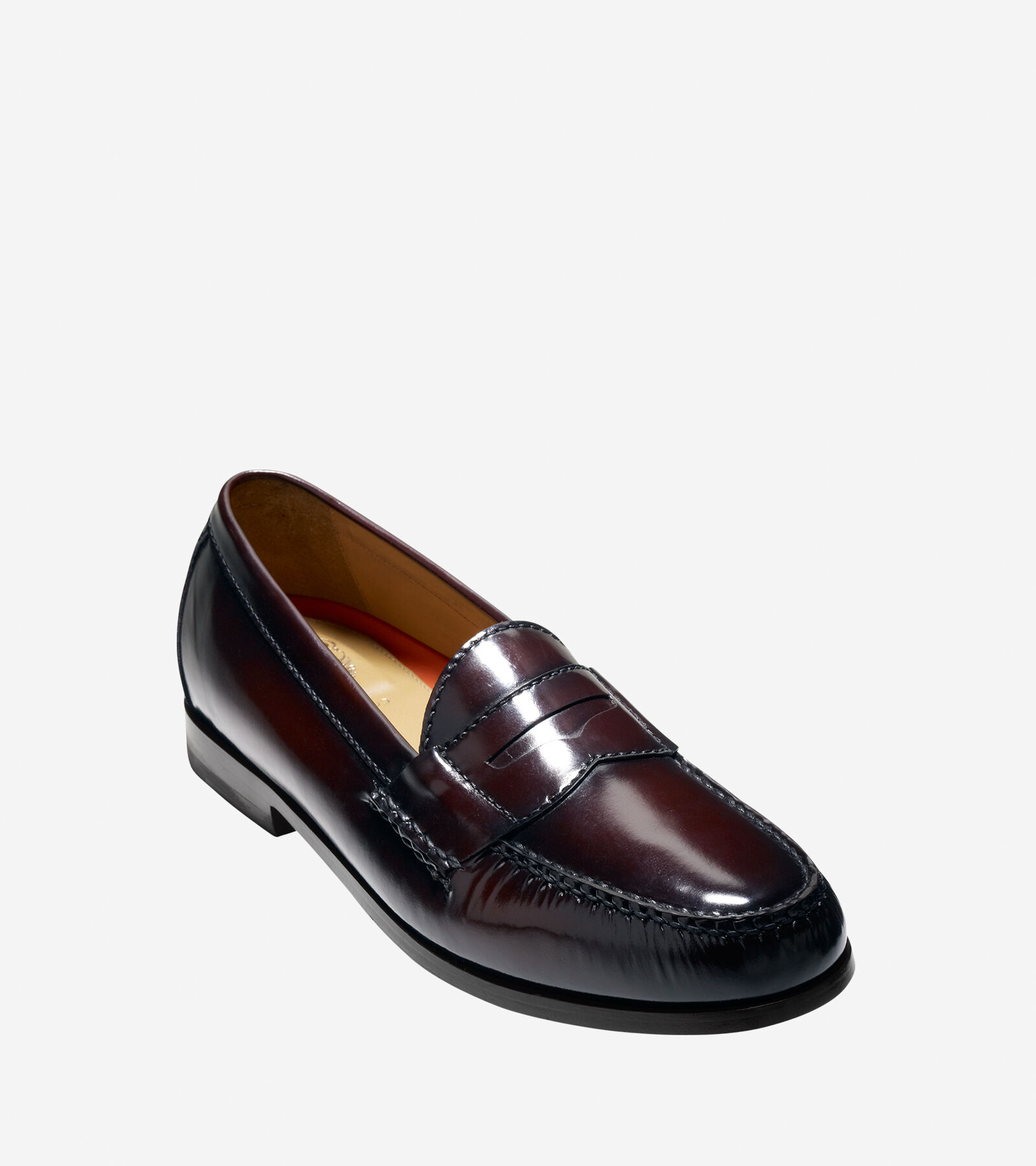 Men's Pinch Grand Penny Loafer in 