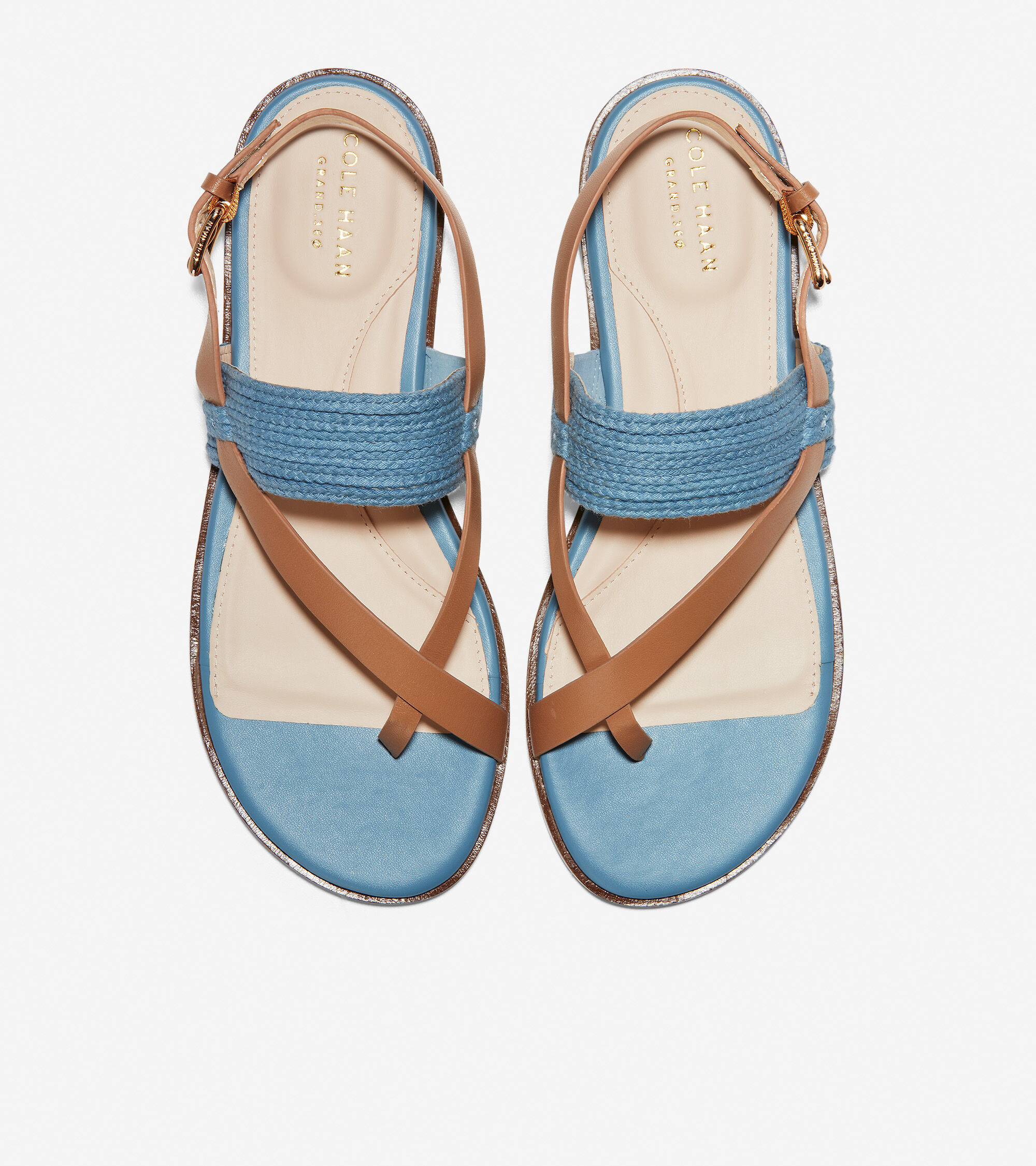 Women's Anica Thong Sandals in Sapphire Blue | Cole Haan