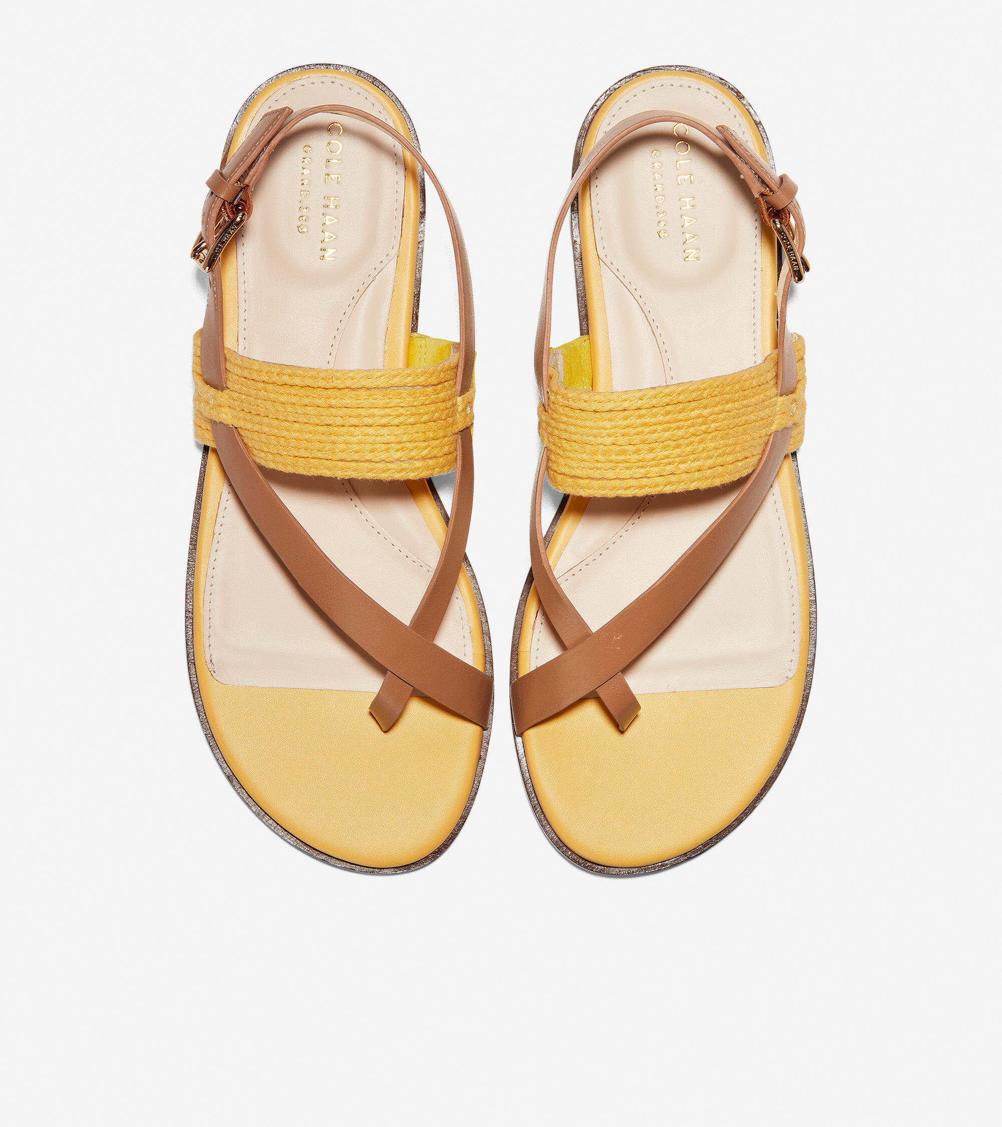 Women's Anica Thong Sandal in Bright 