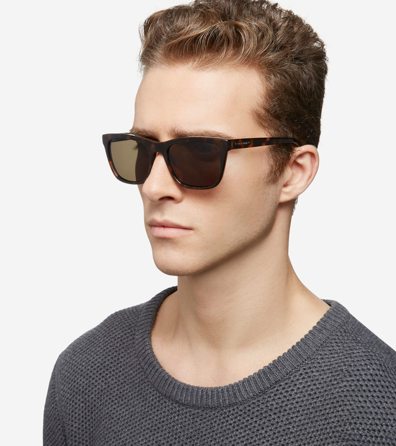 cole haan wayfarer sunglasses