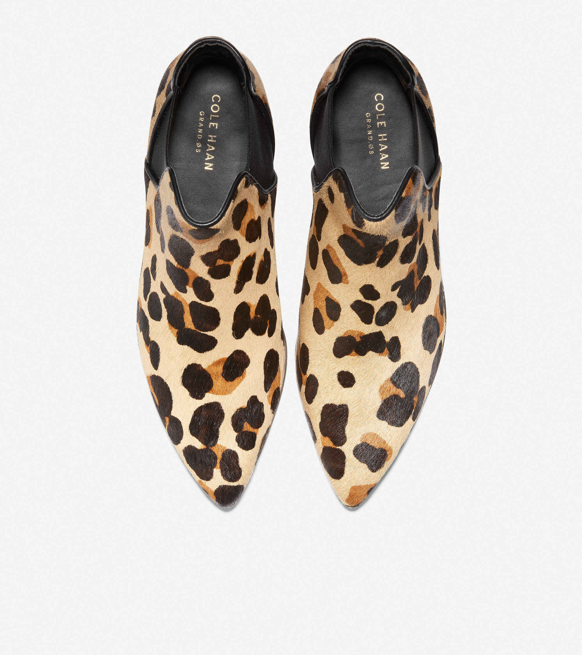 cole haan leopard booties