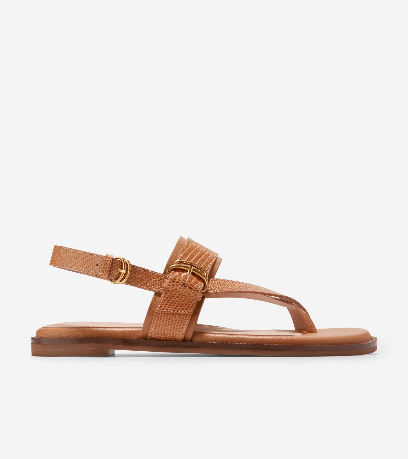 Shop Cole Haan Anica Lux Buckle Sandal In Pecan Brown