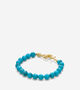 Gold-blue Turquoise