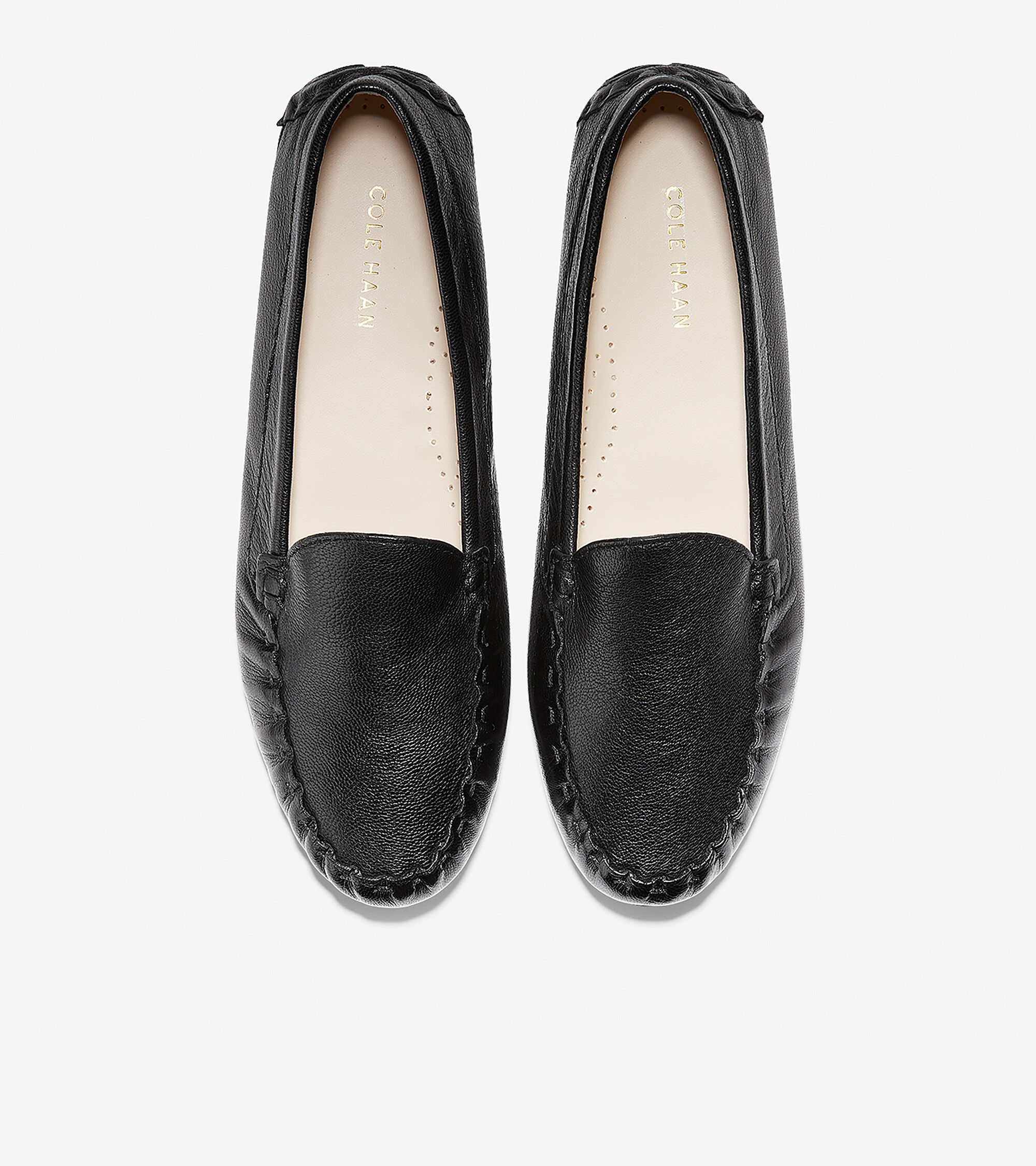 evelyn driver cole haan
