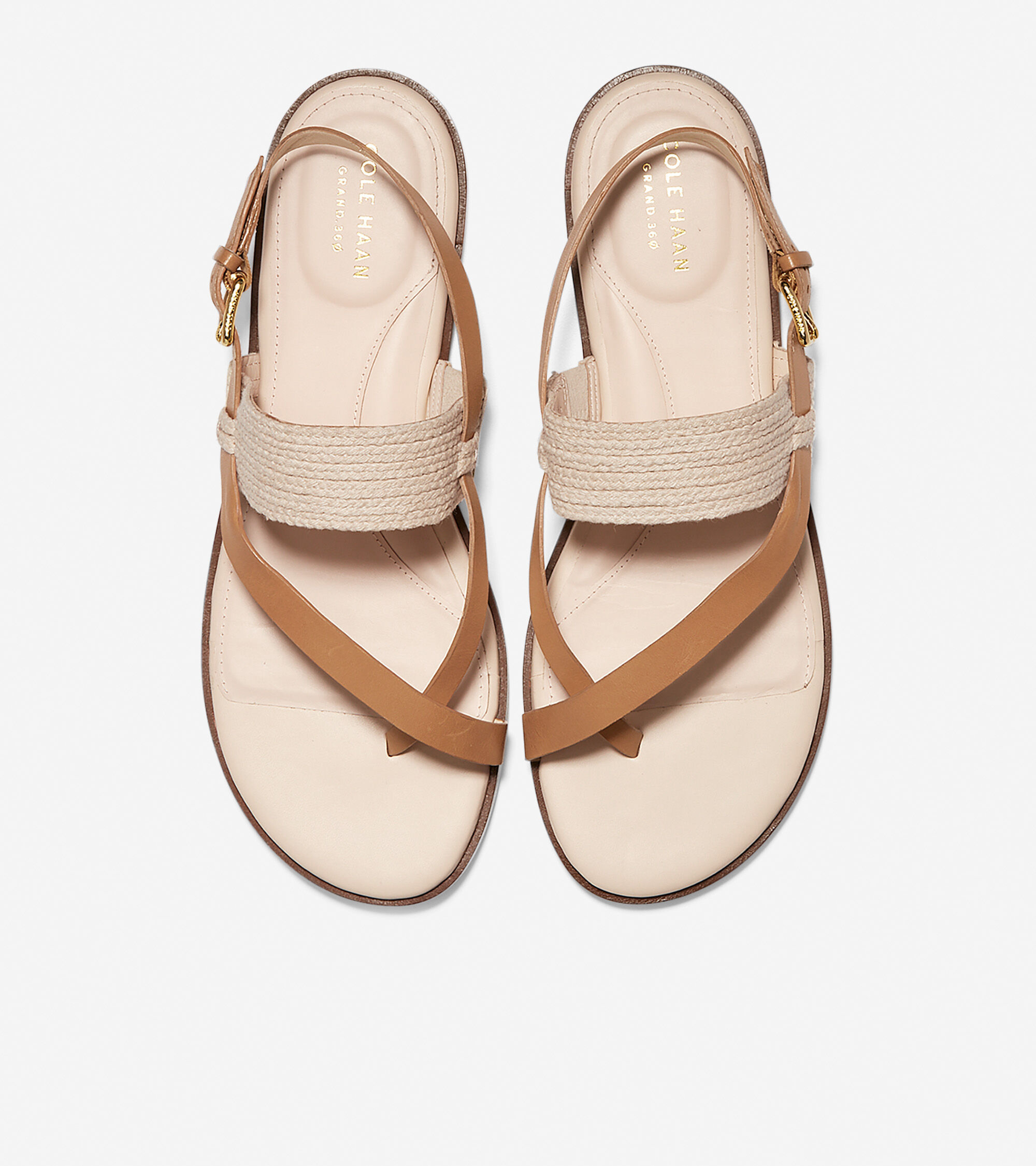 anica thong sandal